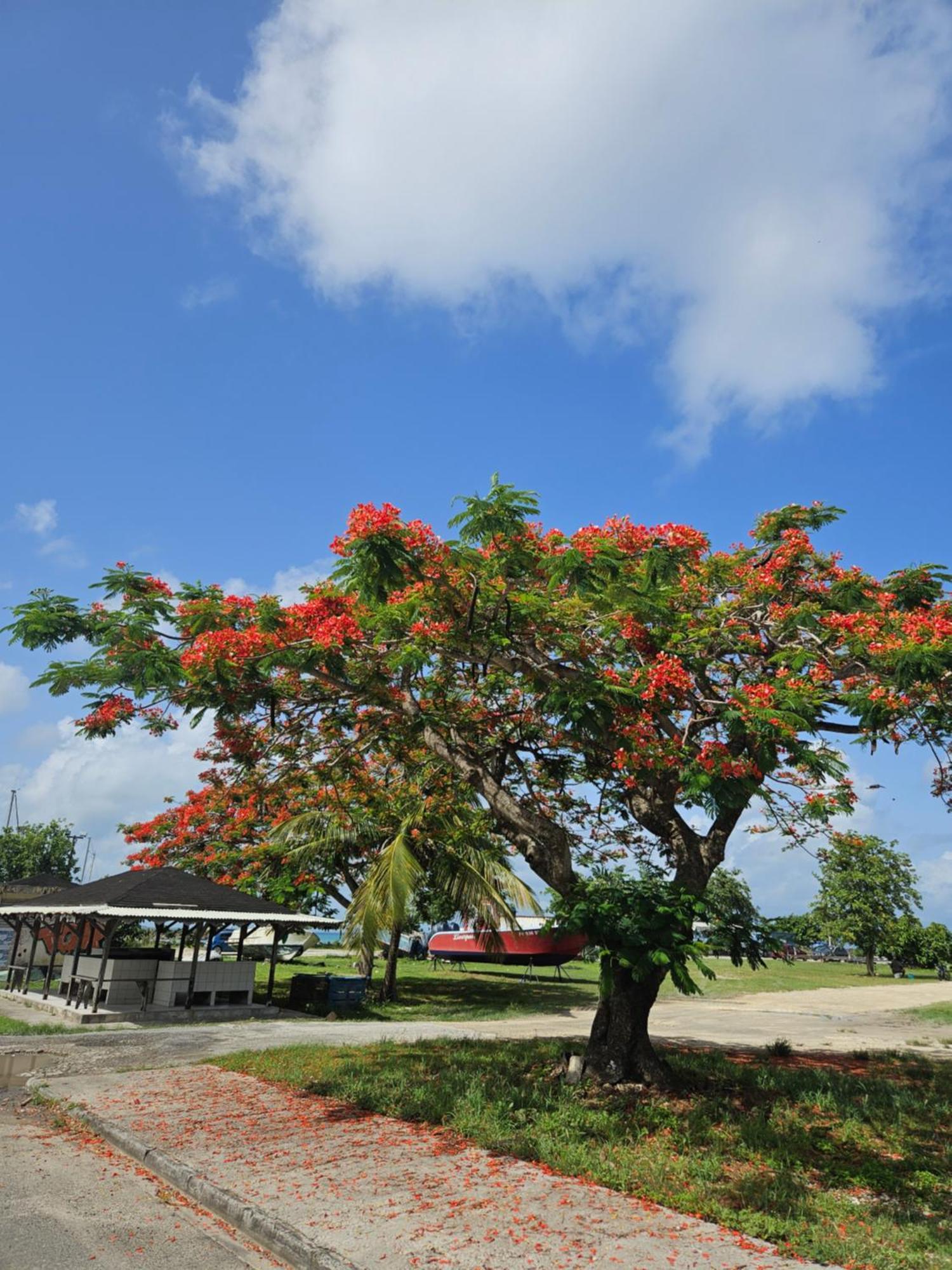 Gite Rubis Passion Port-Louis Exterior photo